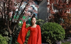 停不了的爱快播